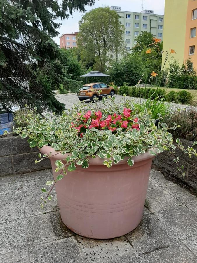 Apartamento Žlutý apartmán v Chomutově Exterior foto